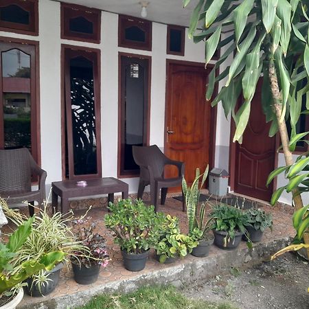 Arnolds Familly Homestay Bajawa المظهر الخارجي الصورة