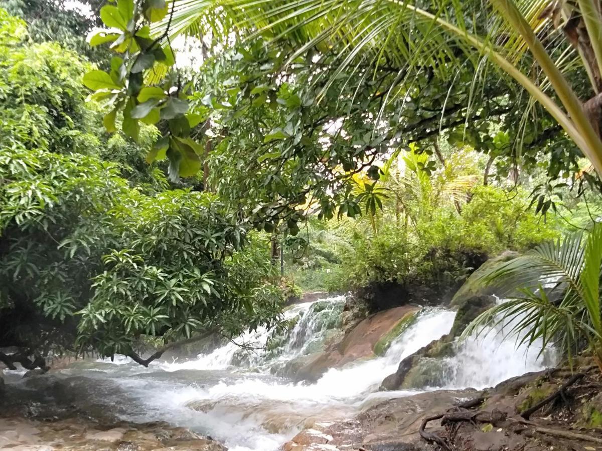 Arnolds Familly Homestay Bajawa المظهر الخارجي الصورة