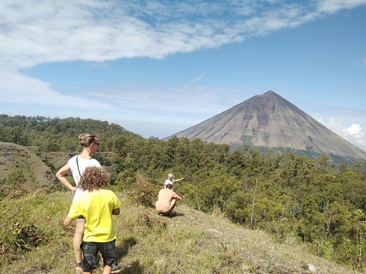 Arnolds Familly Homestay Bajawa المظهر الخارجي الصورة
